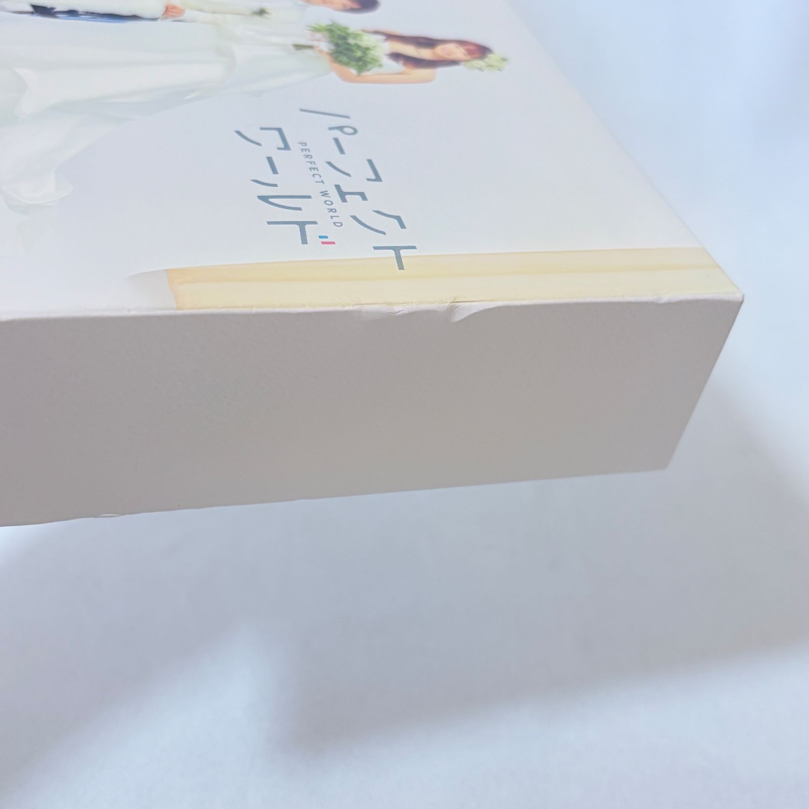 パーフェクトワールド DVD-BOX 松坂桃李 山本美月 主演ドラマ - メルカリ