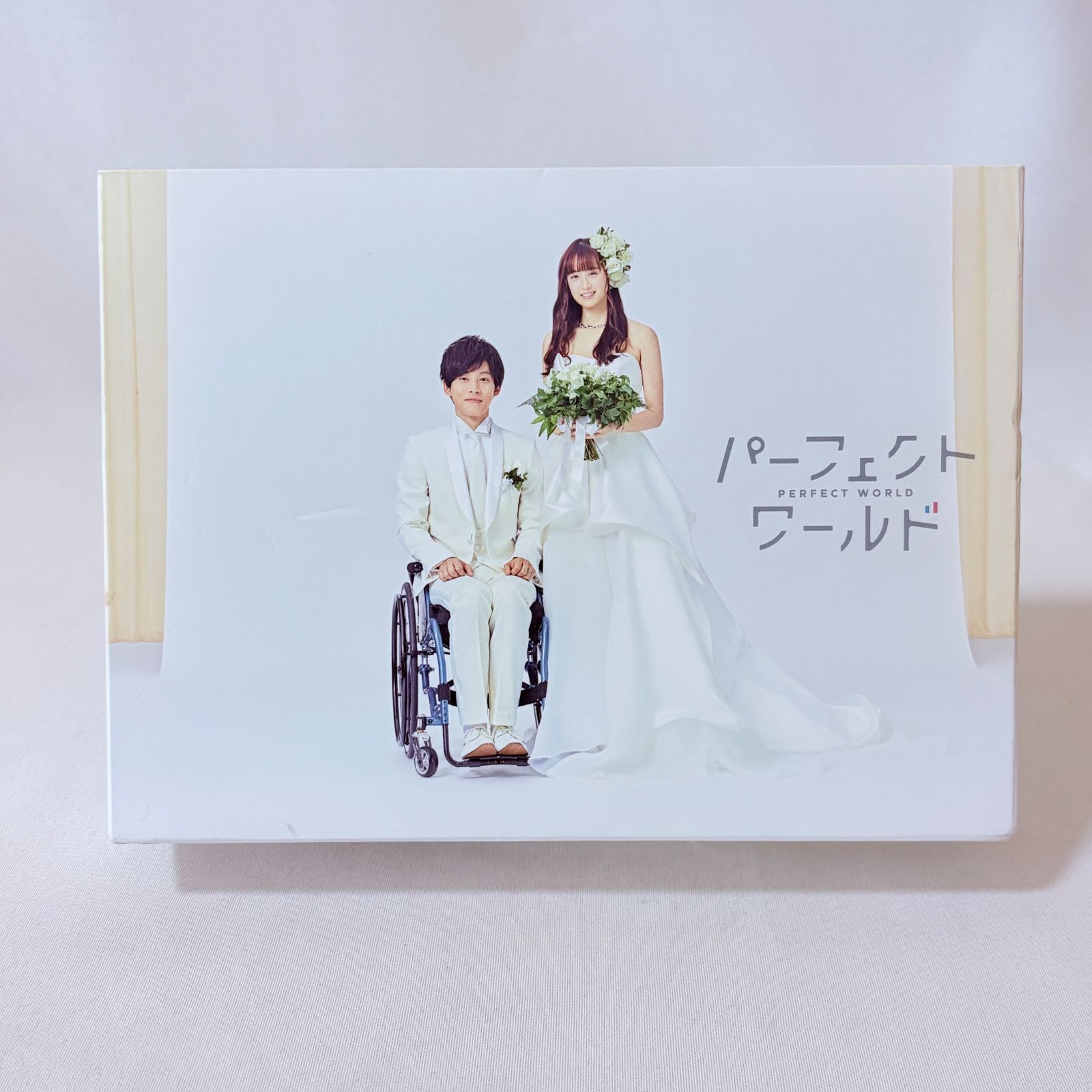 ドラマ『パーフェクトワールド』 DVDボックス 【公式通販】