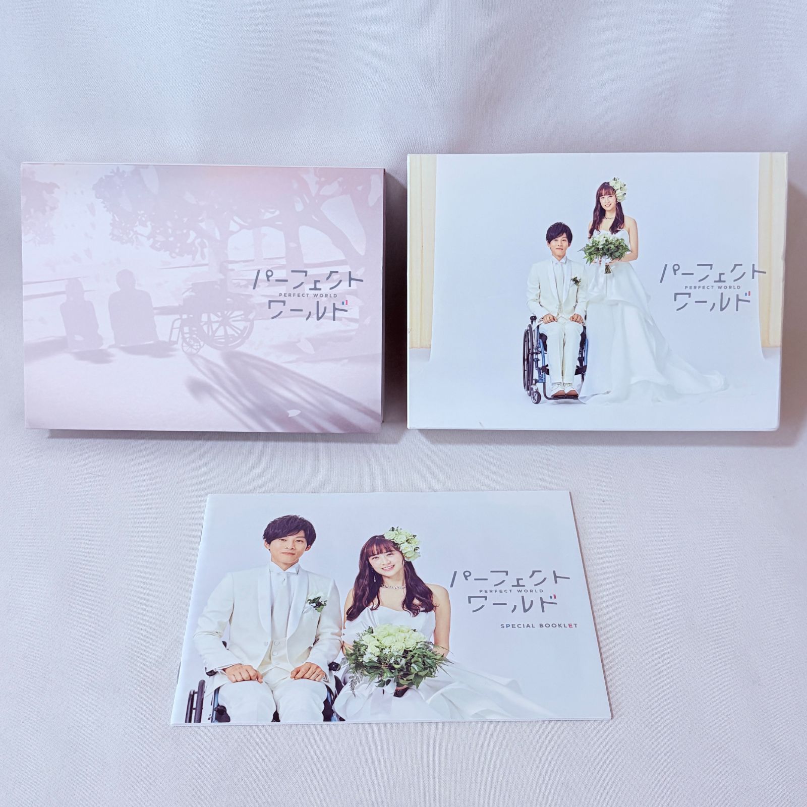 パーフェクトワールド DVD-BOX 松坂桃李 山本美月 主演ドラマ - メルカリ