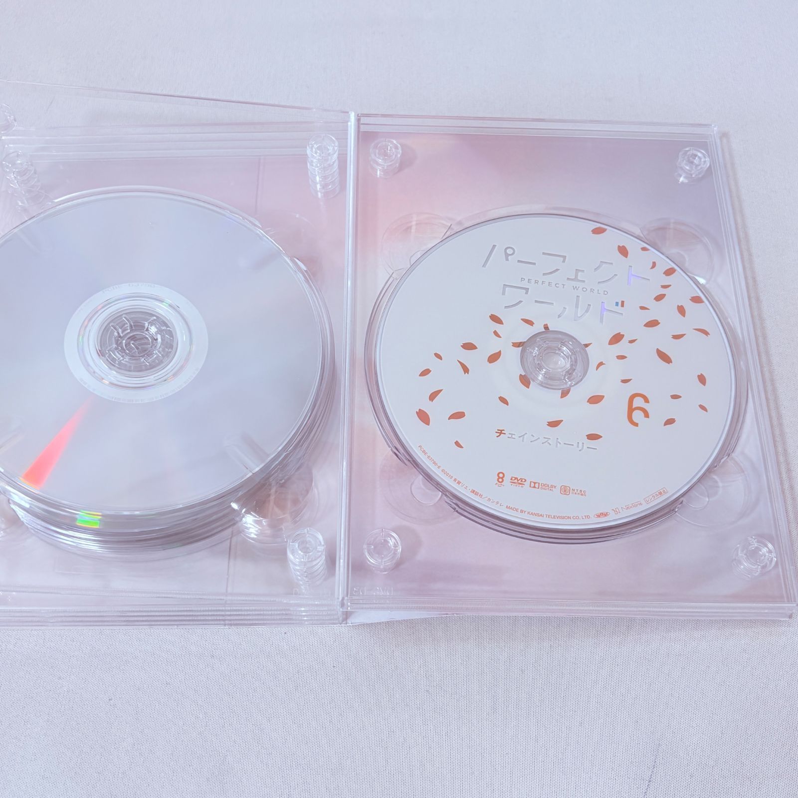 パーフェクトワールド DVD-BOX 松坂桃李 山本美月 主演ドラマ - メルカリ