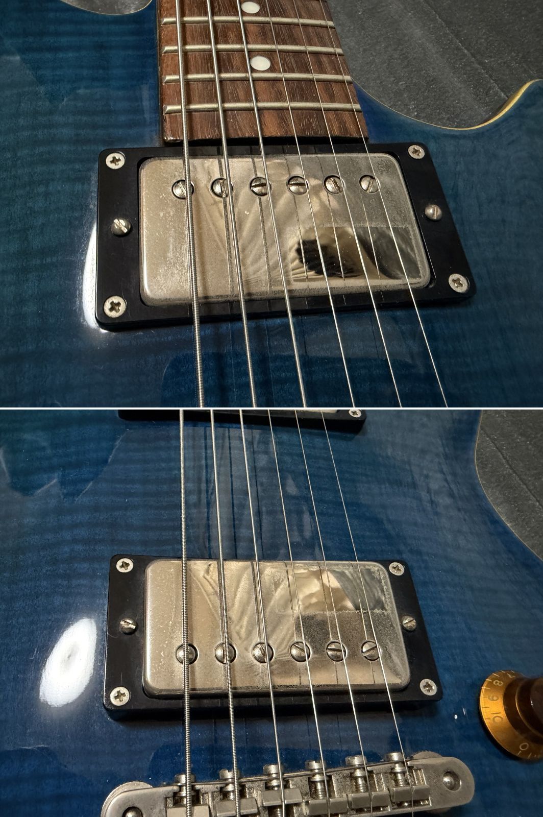 EDWARDS(エドワーズ) E-PO-100D ポットベリー ESP直系ブランド Seymour