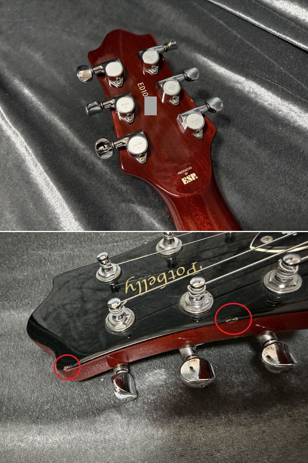 EDWARDS(エドワーズ) E-PO-100D ポットベリー ESP直系ブランド Seymour