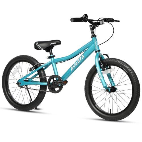 AVASTA（アバスタ）Bilbo子供自転車18インチ20インチMTBマウンテン 