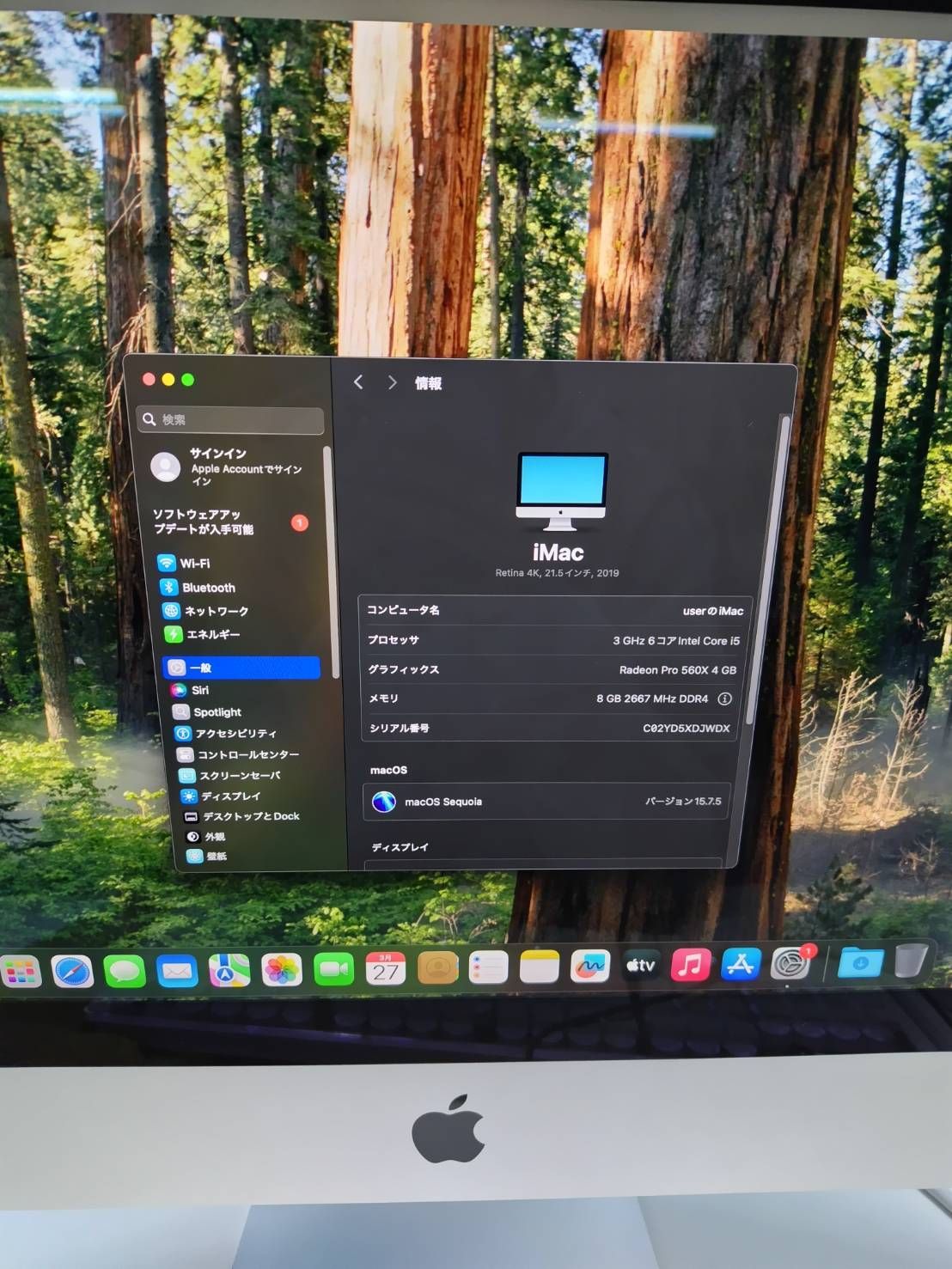 iMac（Retina 4K,21.5インチ,2019年モデル）HDD1TB/8GB〈MRT32J/A〉② 