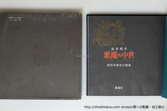 悪魔の中世 西洋美術史の暗黒/澁澤龍彦/桃源社*39812 - メルカリ