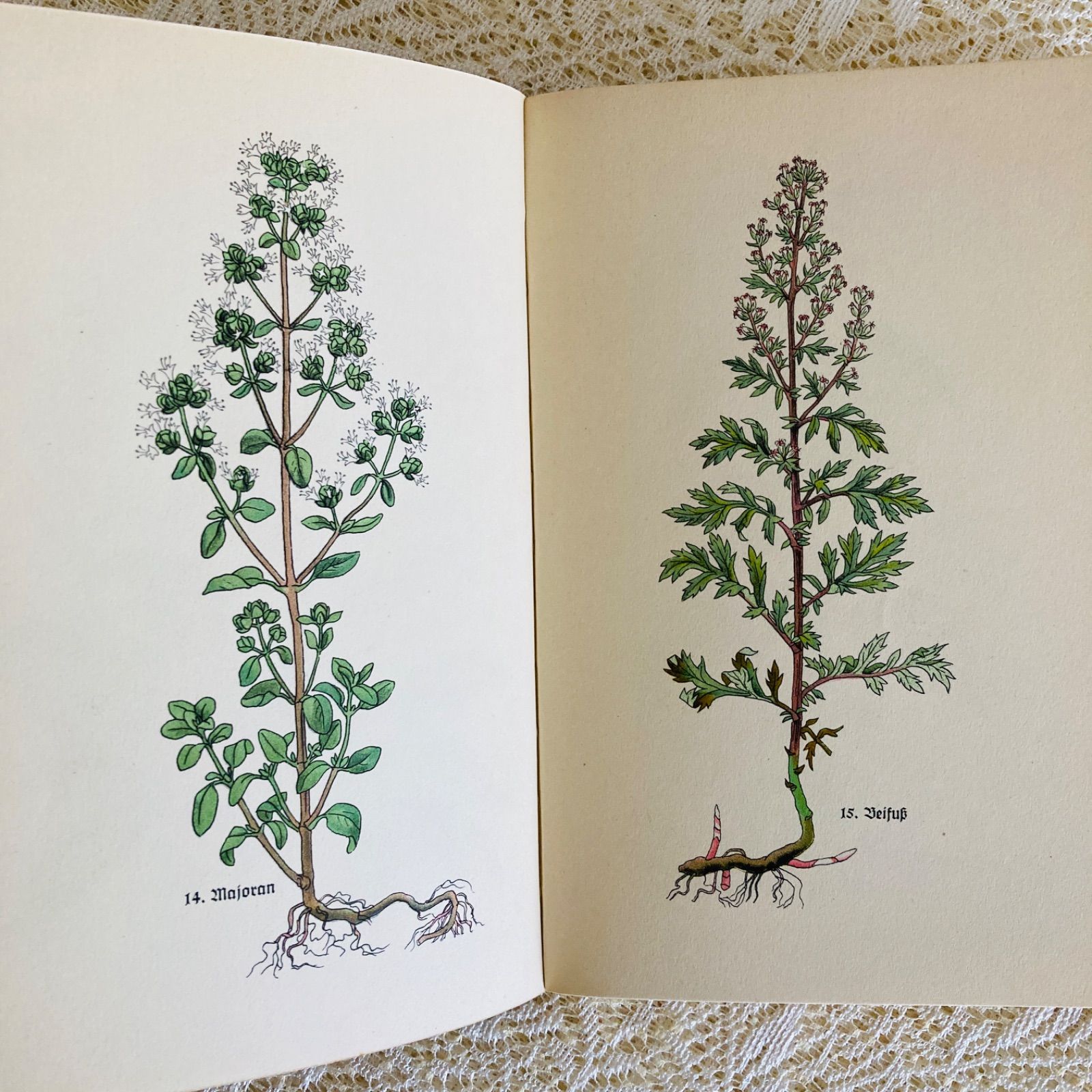 小さなハーブの本 インゼル文庫 No. 269 美しい植物図鑑 インテリア