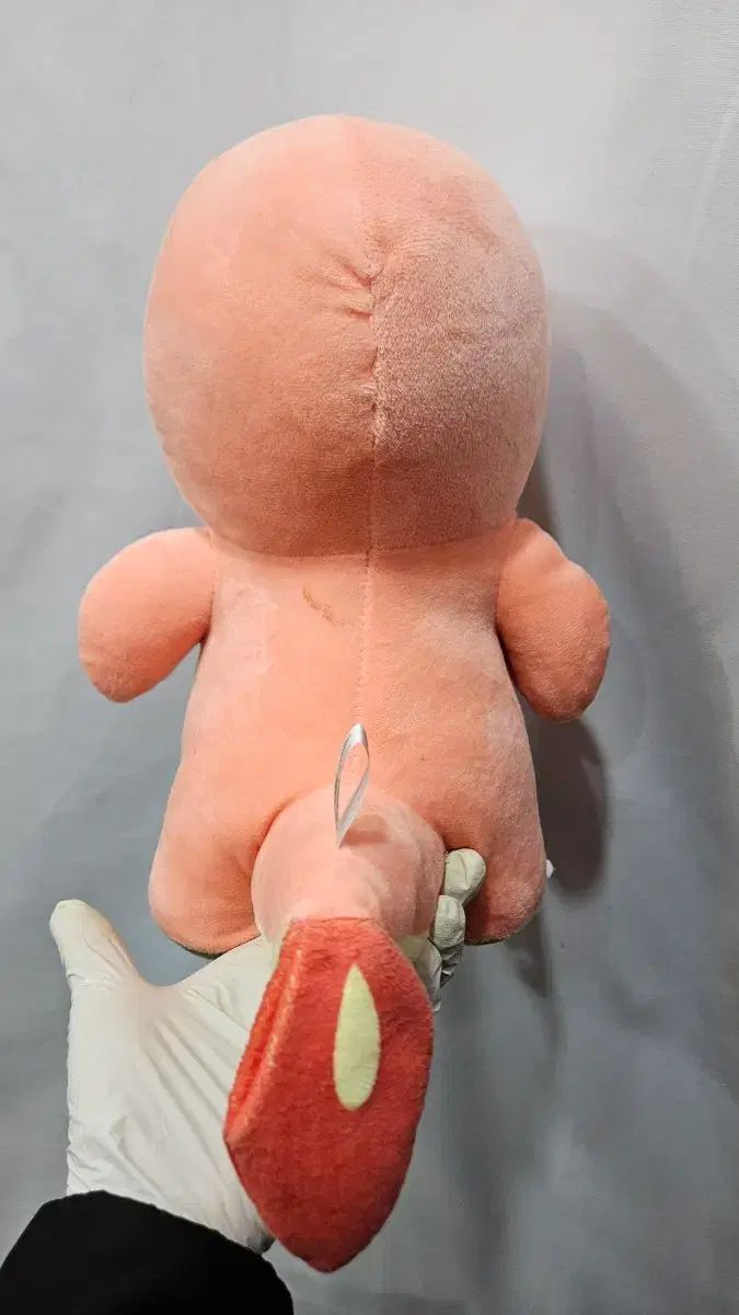 日本輸入 ポケットモンスター メタモン ヒトカゲ ぬいぐるみ ヒトカゲ