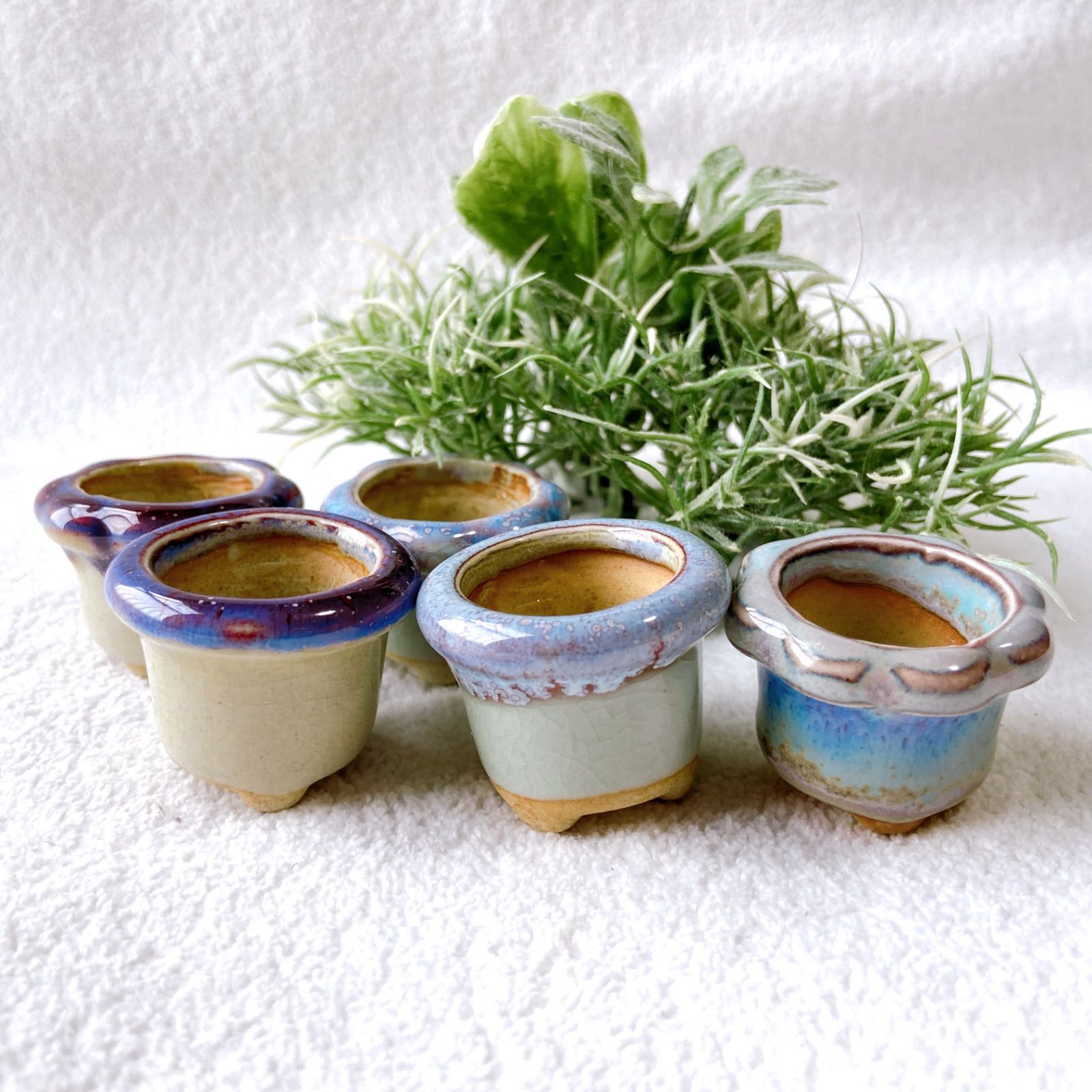 お得5点セット！ 淡く白いミニチュアサイズの陶器植木鉢】 豆盆栽や苔 
