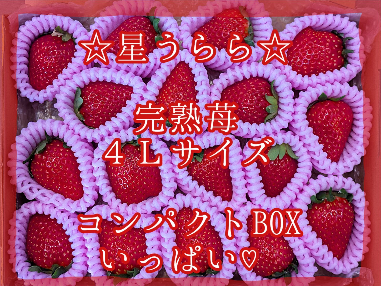 ひろそら様専用クール便♡星うらら♡ - メルカリ