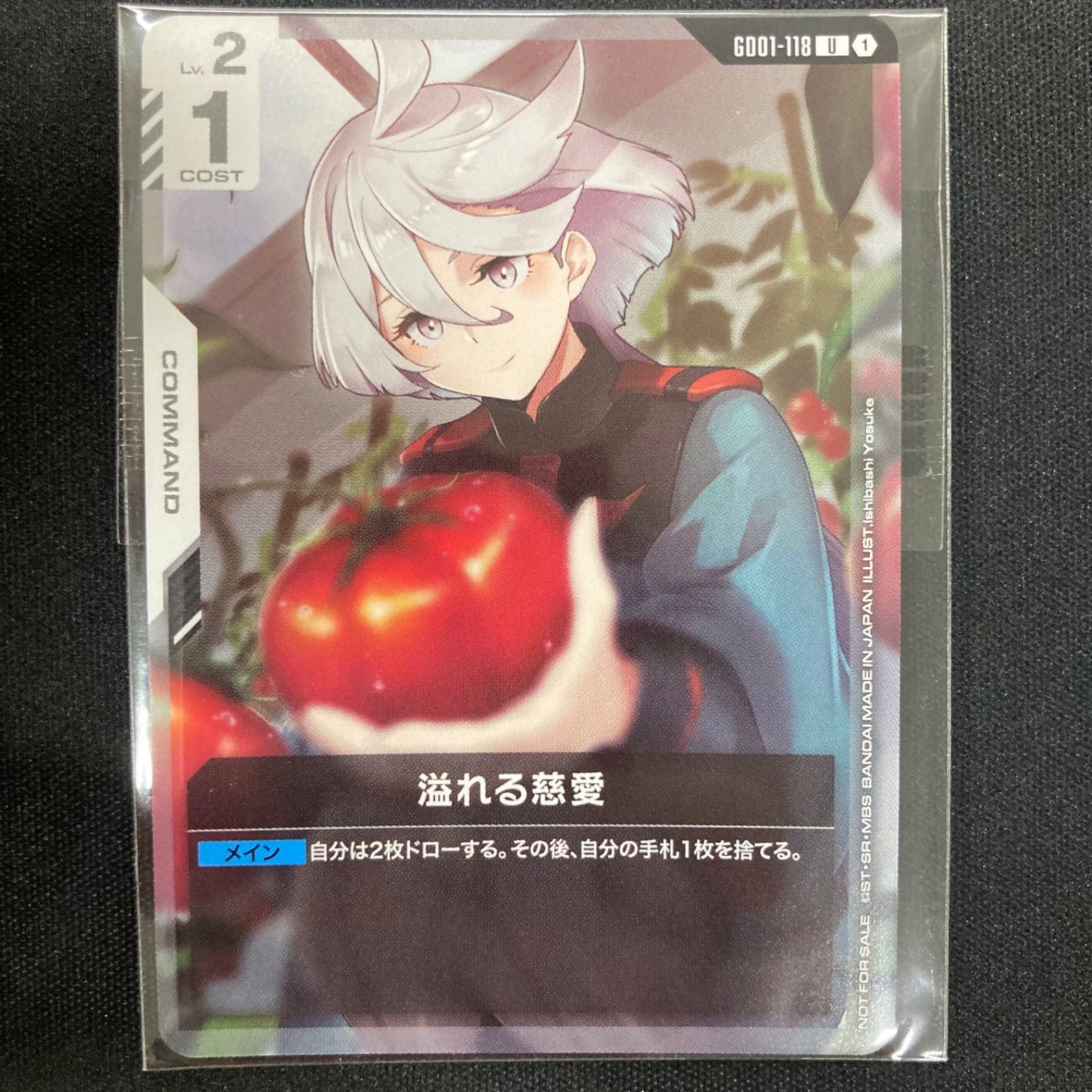 ガンダムカードゲーム 溢れる慈愛 パラレル Newtype Rising U＋ ニュー 