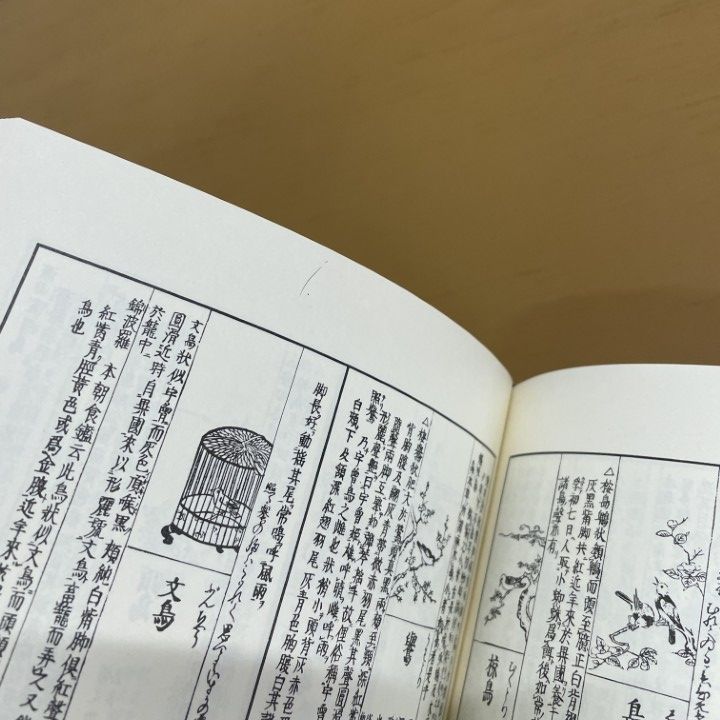 和漢三才図会 上下巻セット △01)【1点限り!】和漢三才図会/上下巻 2冊入り/和漢三才圖會/寺島良安