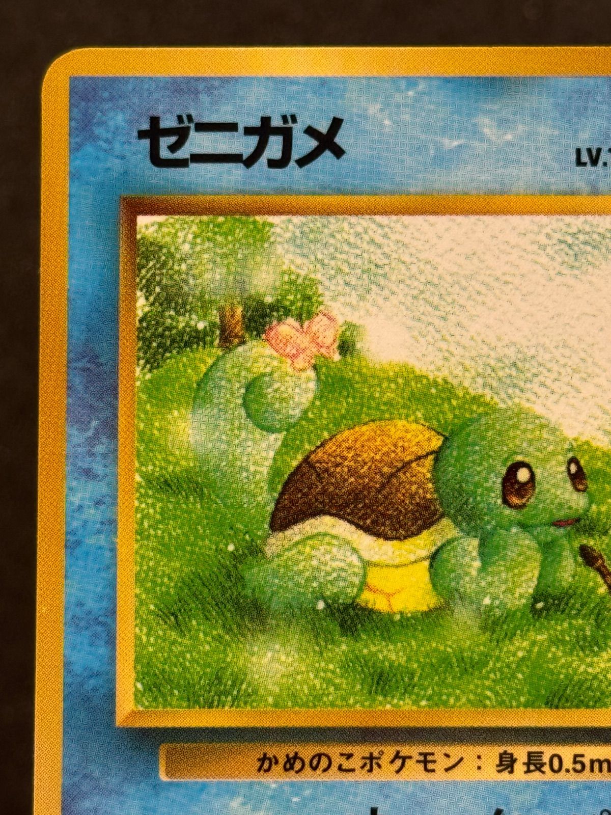 旧裏】ゼニガメ LV.15 拡張シート第1弾 ◇ No.007 ポケモンカード