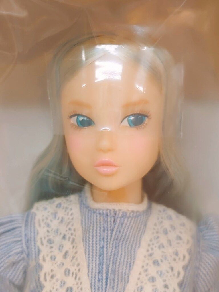 ペットワークス CCS-momoko 23SS PS Alice の商品写真
