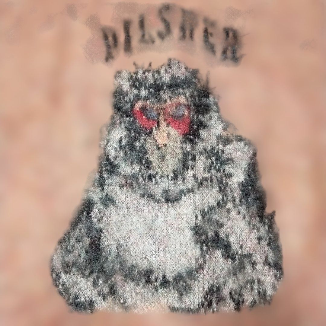 Kota Gushiken (コウタグシケン) 24AW Monkey the pilsner バック