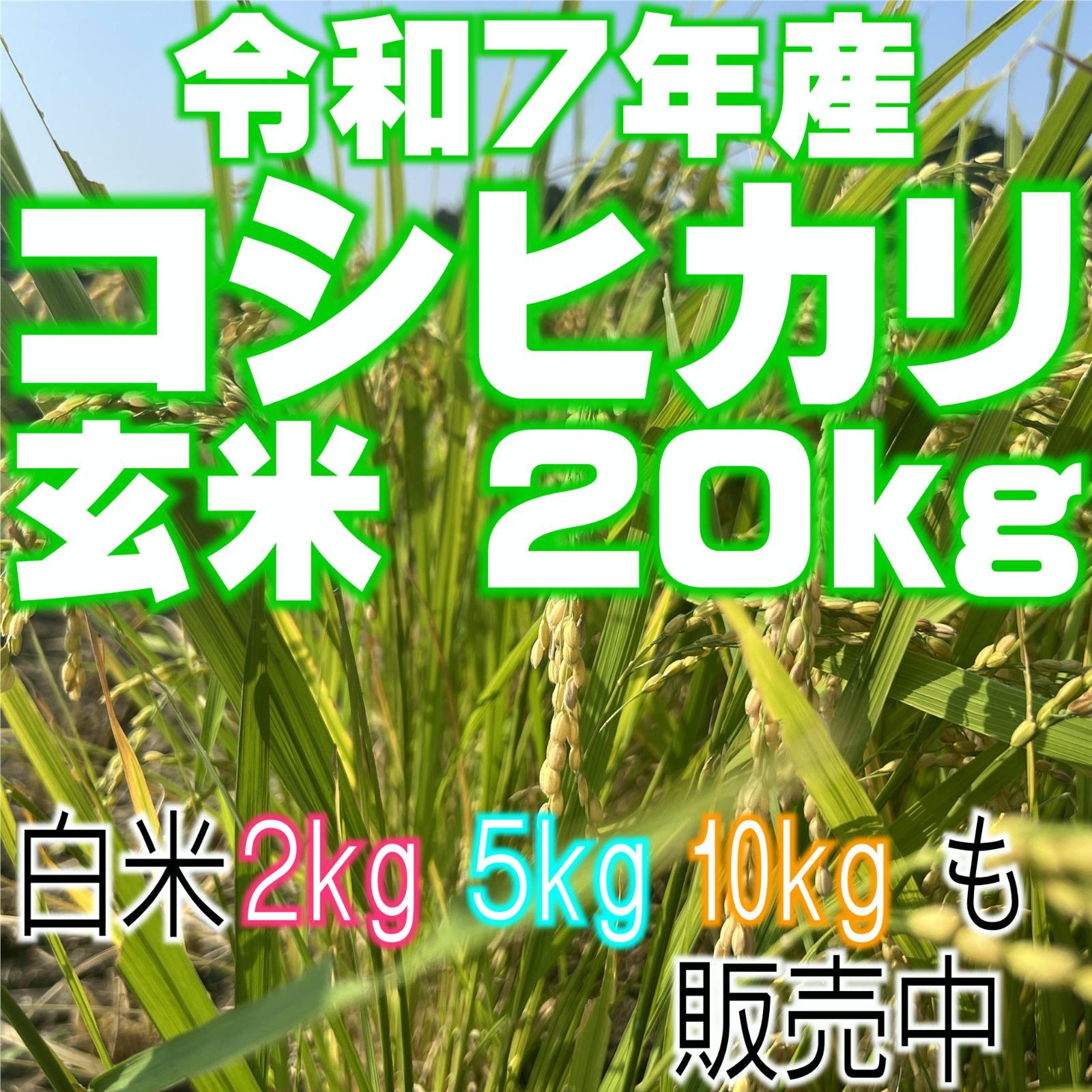 栃木県産コシヒカリ玄米20kg 令和7年産 銘柄米 - メルカリ