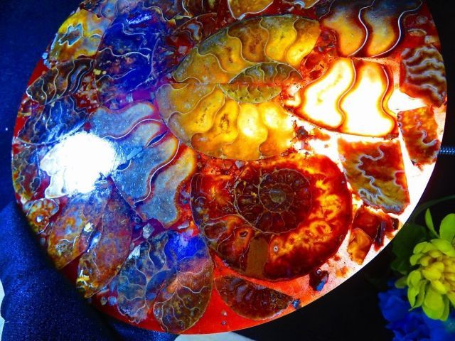 アンモナイト オパール化 一部メノウ化 マダガスカル産 数万個の中の一個☆天然マダガスカル産 ☆ 縫合線オパールアンモナイト