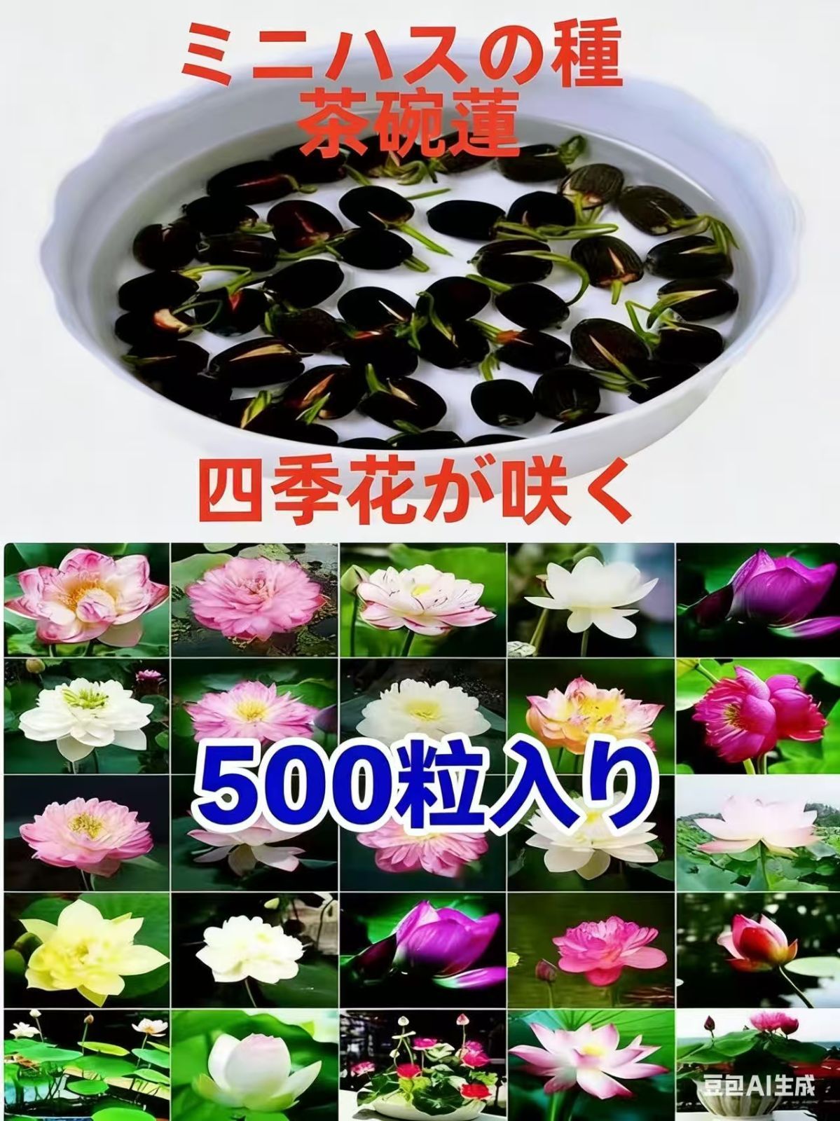 ミニハスの種 茶碗蓮 ハスの種 蓮の種 屋内外植付け可能 お得な値段 