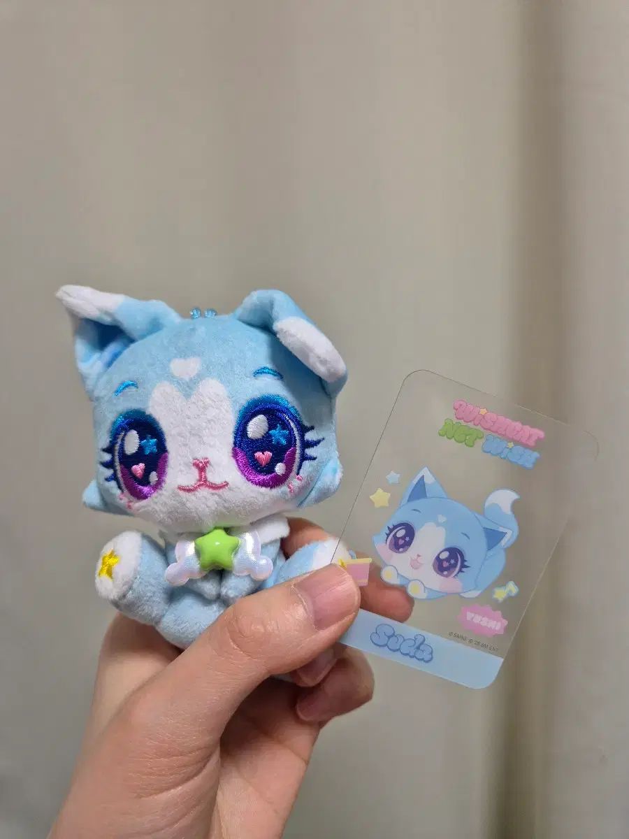 HOT，人気 WIND AND WISH x NCT WISH サプライズ PLUSH キーホルダー