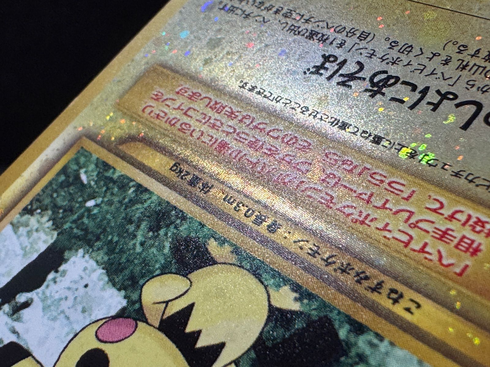 旧裏】ピチュー LV.4 No.172 プレミアムファイル2 ポケモンカード
