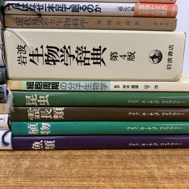□01)【1点限り!】生物学 関連本/まとめ売り約30冊大量セット/進化
