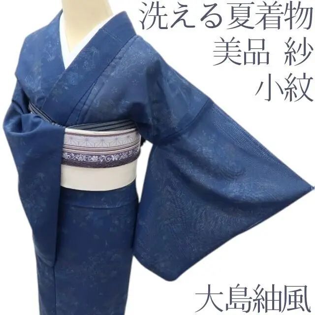 ゆめsaku 美品 紗紬 夏着物“涼やかな味を連れて姿を現す風”夏大島紬 R