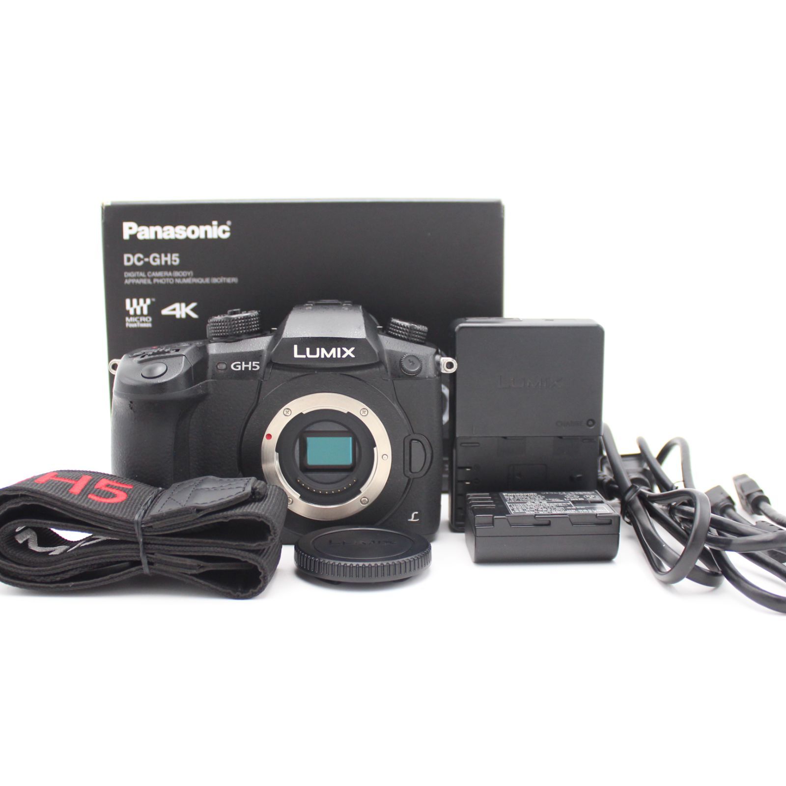 ショット数25150！□美品□ PANASONIC パナソニック ミラーレス一眼 