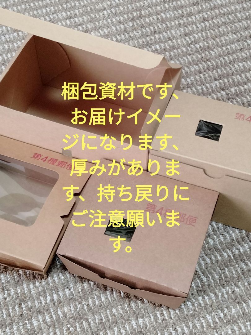 ラブリーローズ錦 赤】 ② 多肉植物 抜き苗 - メルカリ ラブリーローズ錦 赤】 ② 多肉植物 抜き苗 - メルカリ