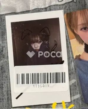 新作，最新作 Whiplash KMS