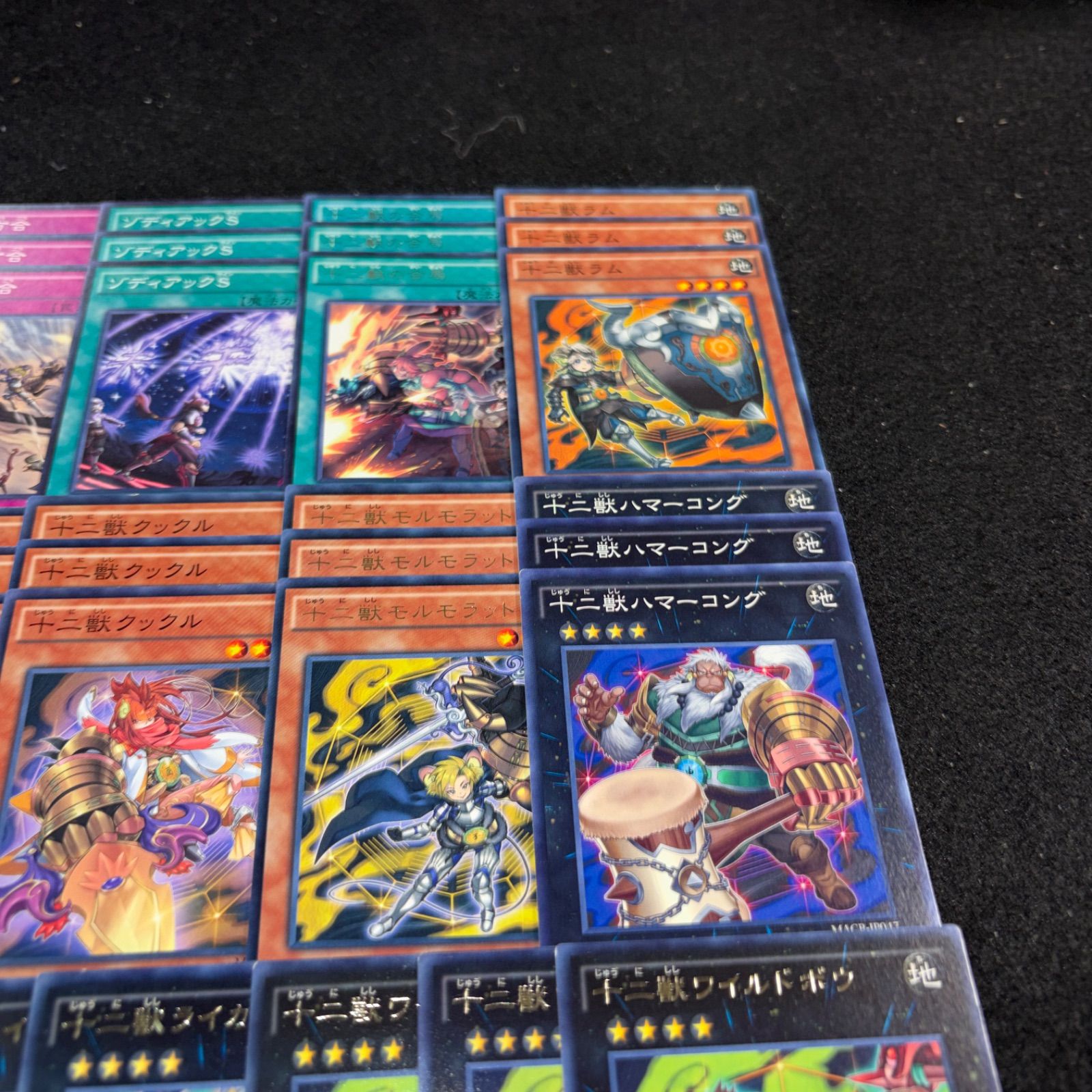 No.PP439 遊戯王 十二獣 デッキパーツ 十二獣ドランシア 十二獣