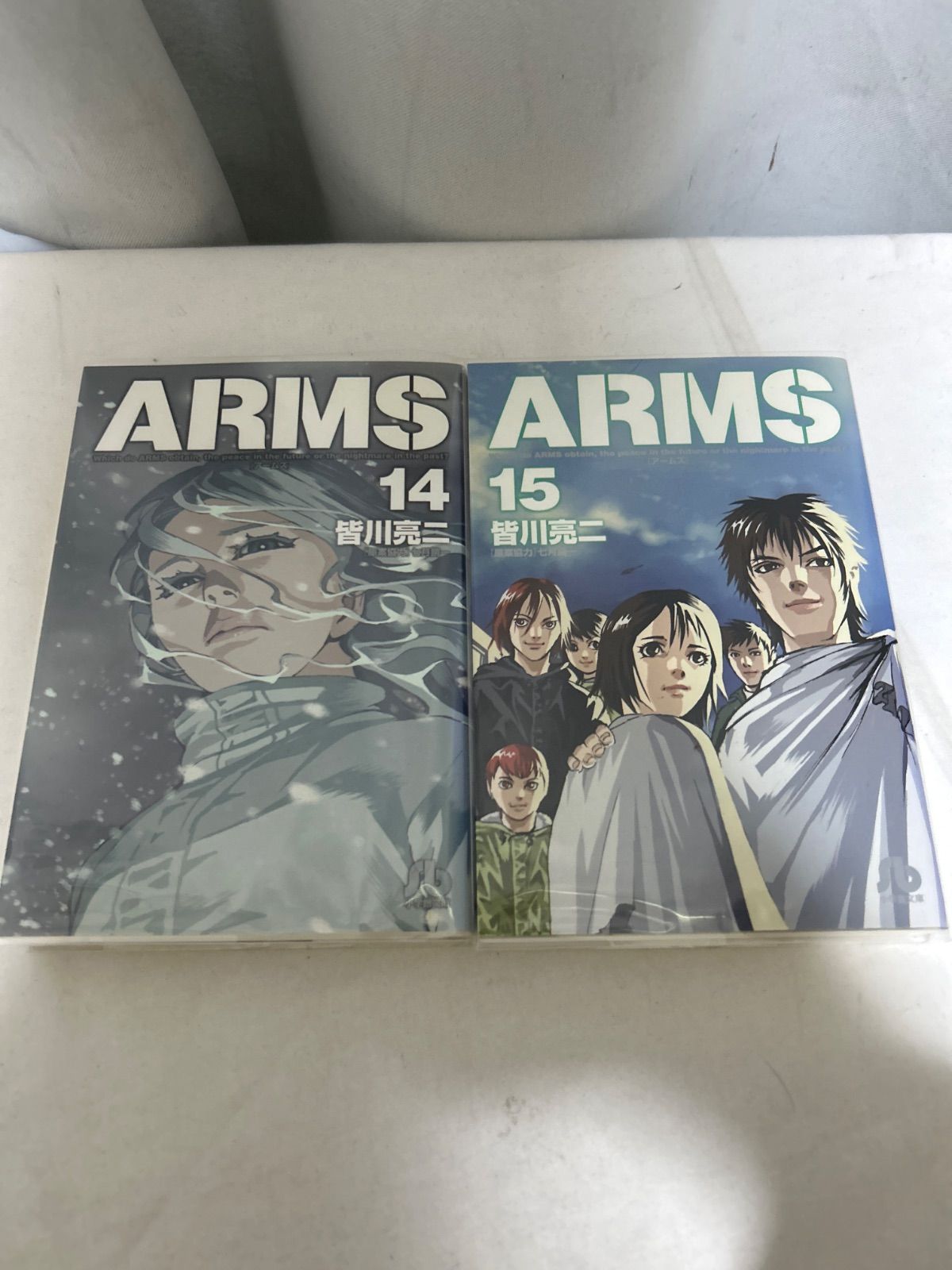 ARMS アームズ 14巻 15巻 文庫版 皆川亮二 コミック 2冊セット 小学館