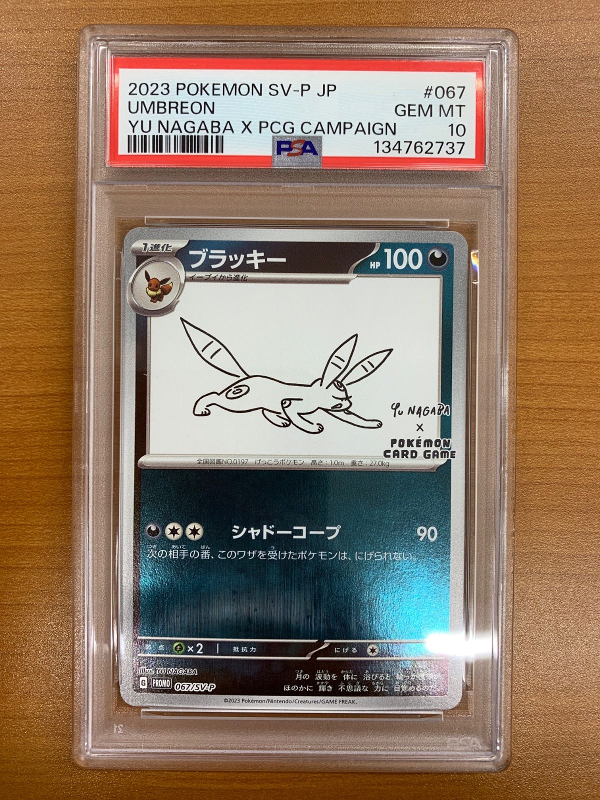 PSA10 ブラッキー プロモ PROMO 067/SV-P YU NAGABA ポケカ ポケモン