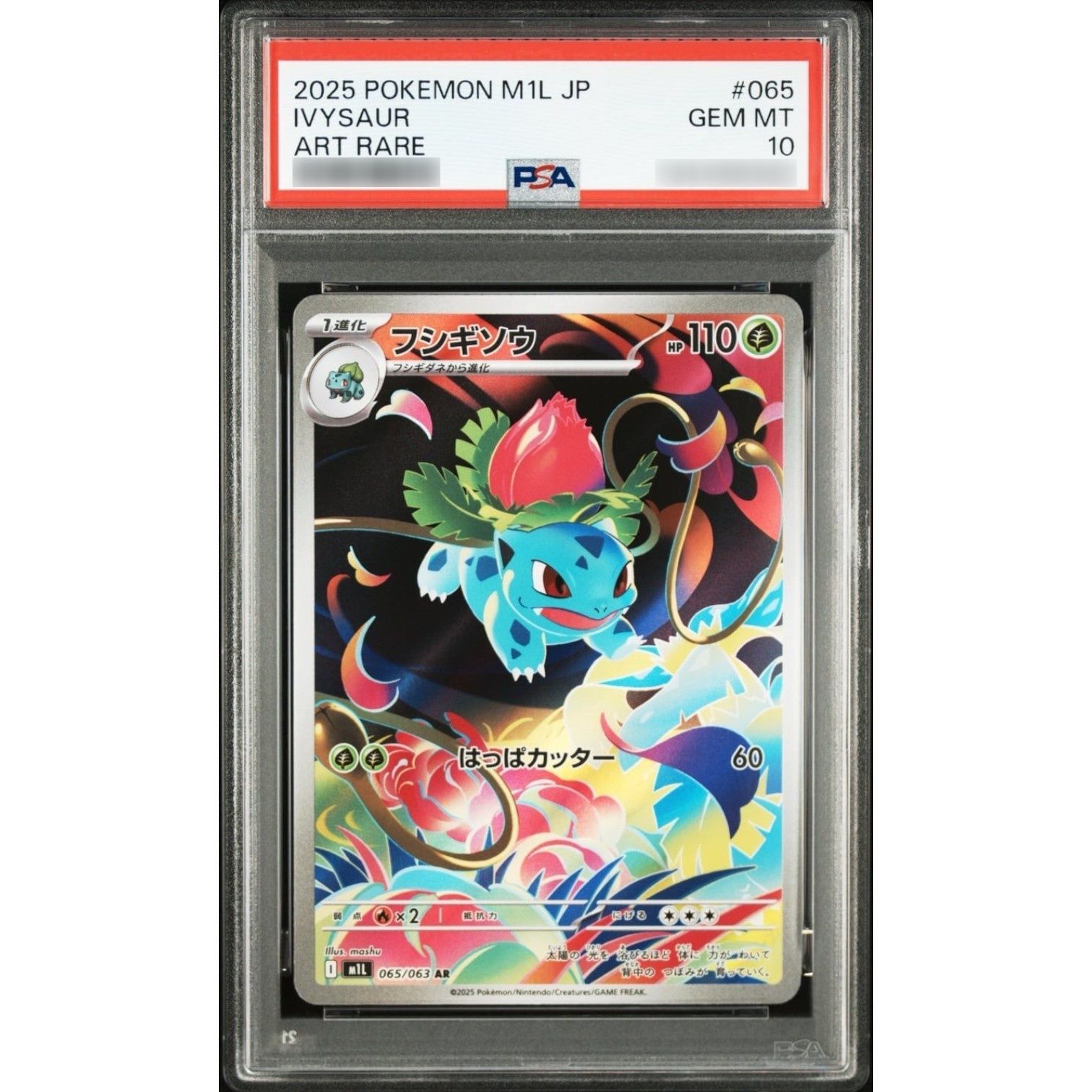 PSA10鑑定済〕フシギソウ【AR】{065/063} - メルカリ