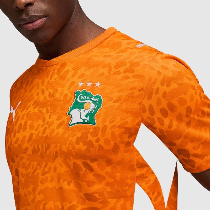 送料無料・匿名配送】Puma プーマ コートジボワール 2026 公式 ホーム