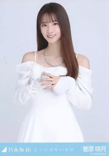 中古】生写真(乃木坂46) 菅原咲月/上半身/「ここにはないもの」WebShop