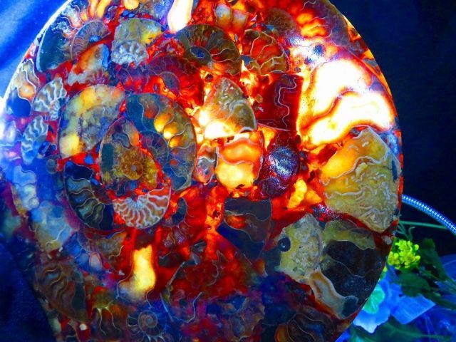 数万個の中の一個☆天然マダガスカル産 ☆ 縫合線オパールアンモナイト