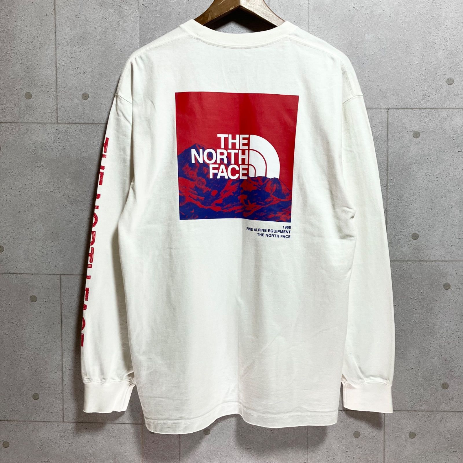 THE NORTH FACE ノースフェイス ロンT ロングスリーブ Tシャツ 