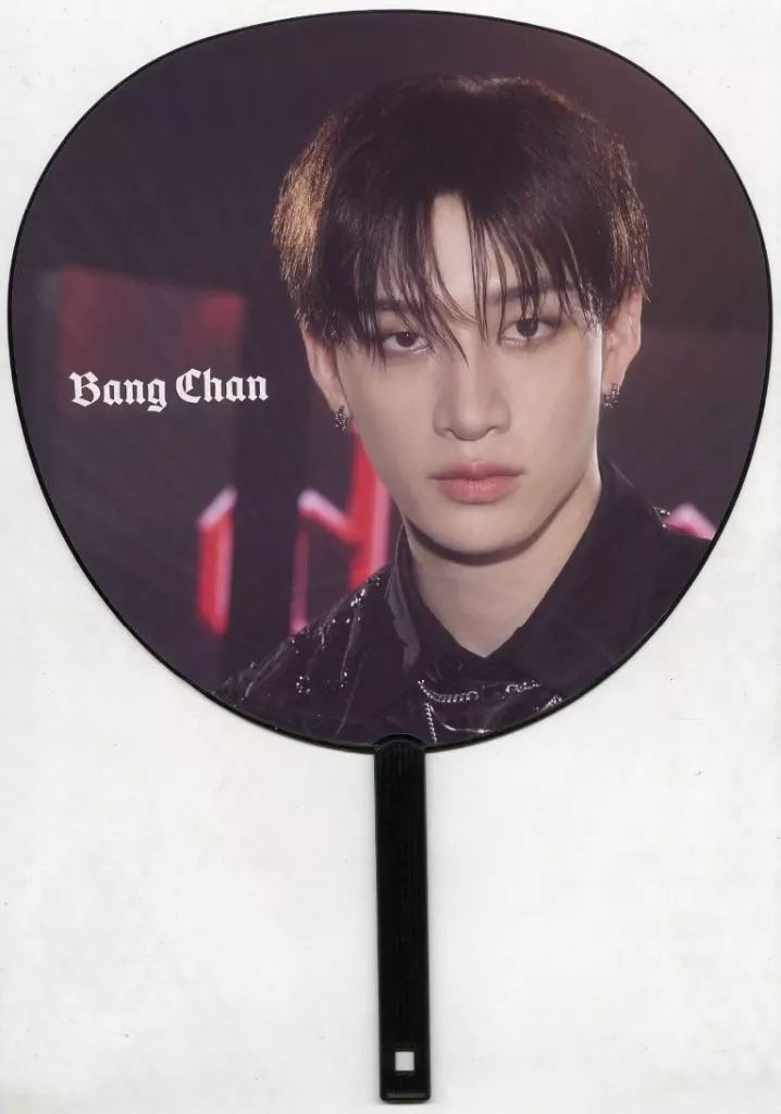 中古】うちわ バンチャン うちわ 「Stray Kids World Tour ＜ dominATE