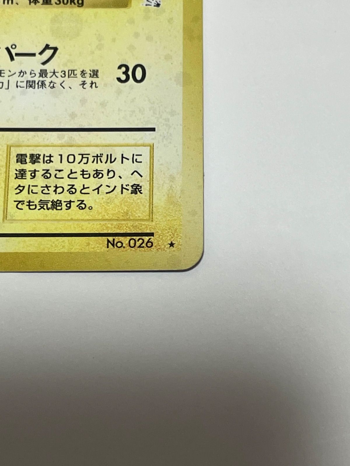 ライチュウ 化石の秘密 Raichu Fossil - メルカリ