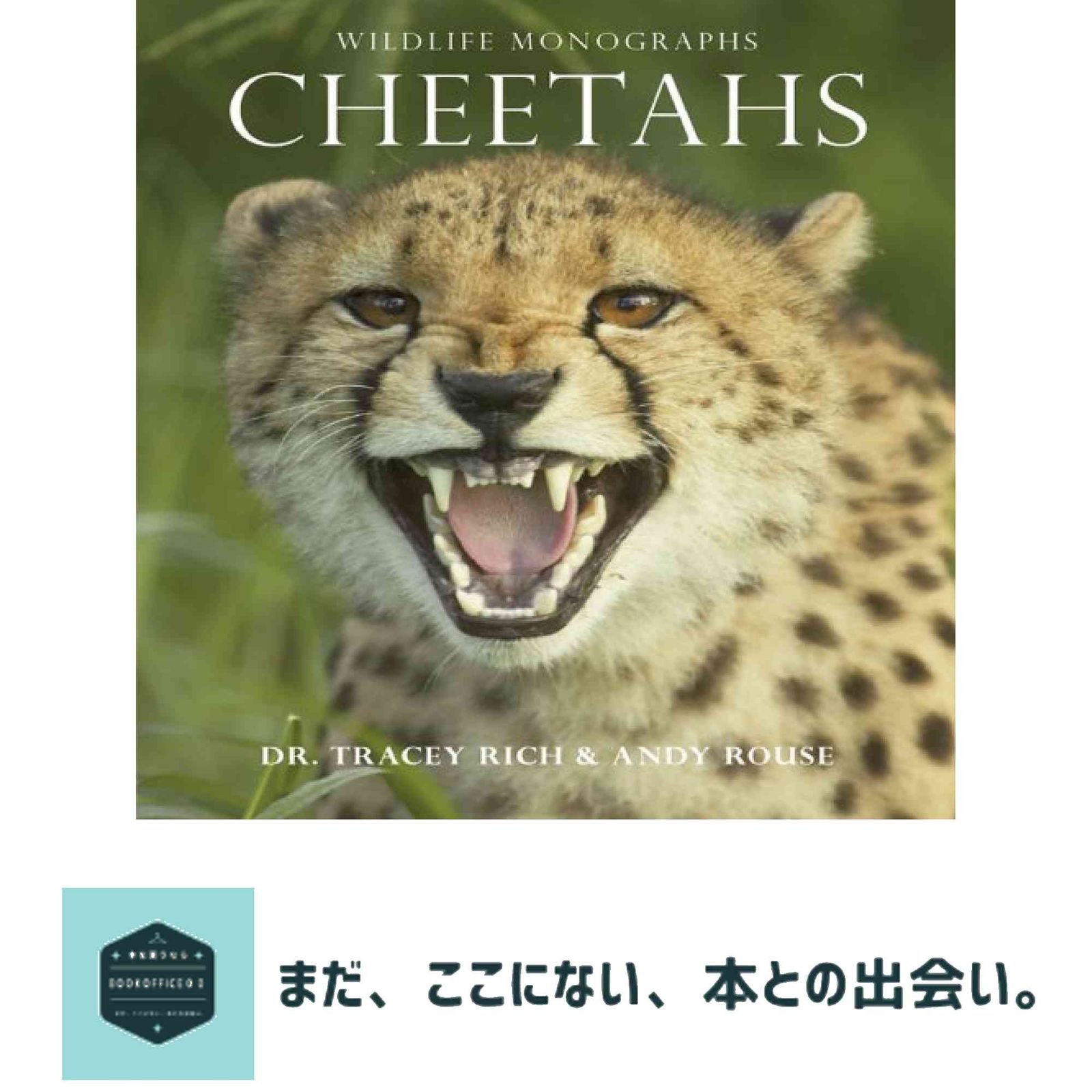 Cheetahs (Wildlife Monographs) [ペーパーバック] Rich, Tracey; Rouse, Andy - メルカリ