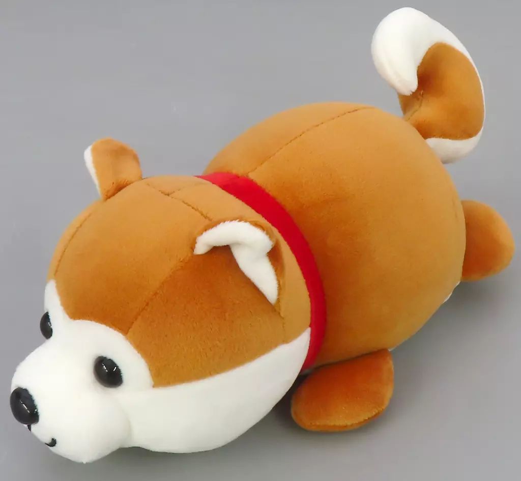 中古】ぬいぐるみ 秋田犬 ぬいぐるみ 「ハッピー秋田犬くじ」 4等