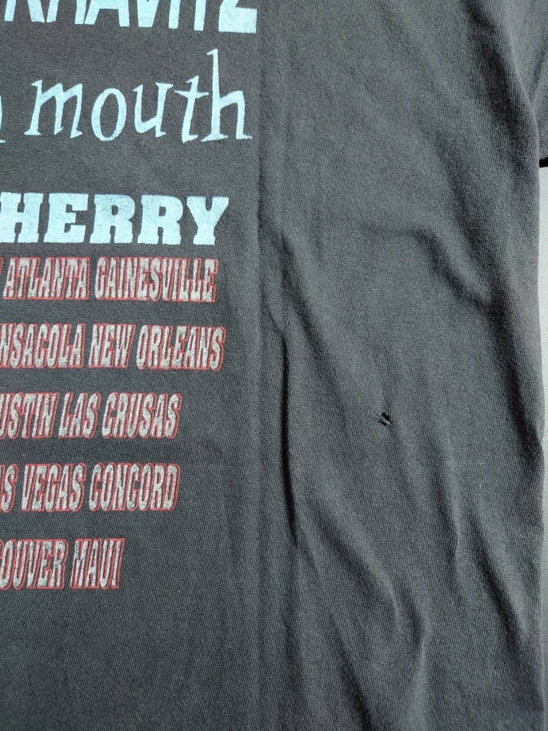レニークラヴィッツ＿LENNY KRAVITZ ヴィンテージTシャツ AMERICAN