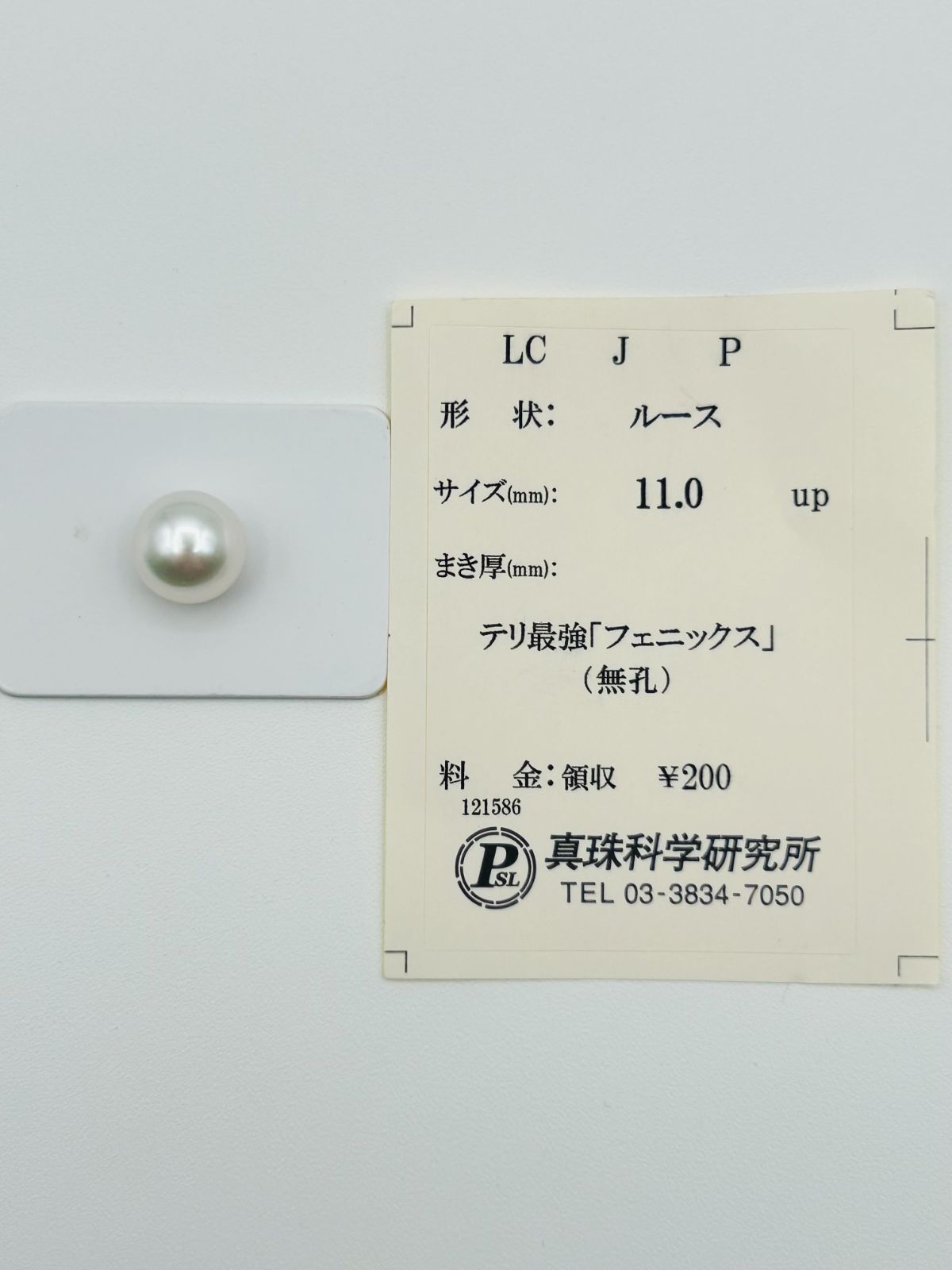 白蝶 真珠 南洋 パール フェニックス ルース 11.0mmUP 真珠科学 白蝶 真珠 南洋 パール フェニックス ルース 11.0mmUP 真珠科学