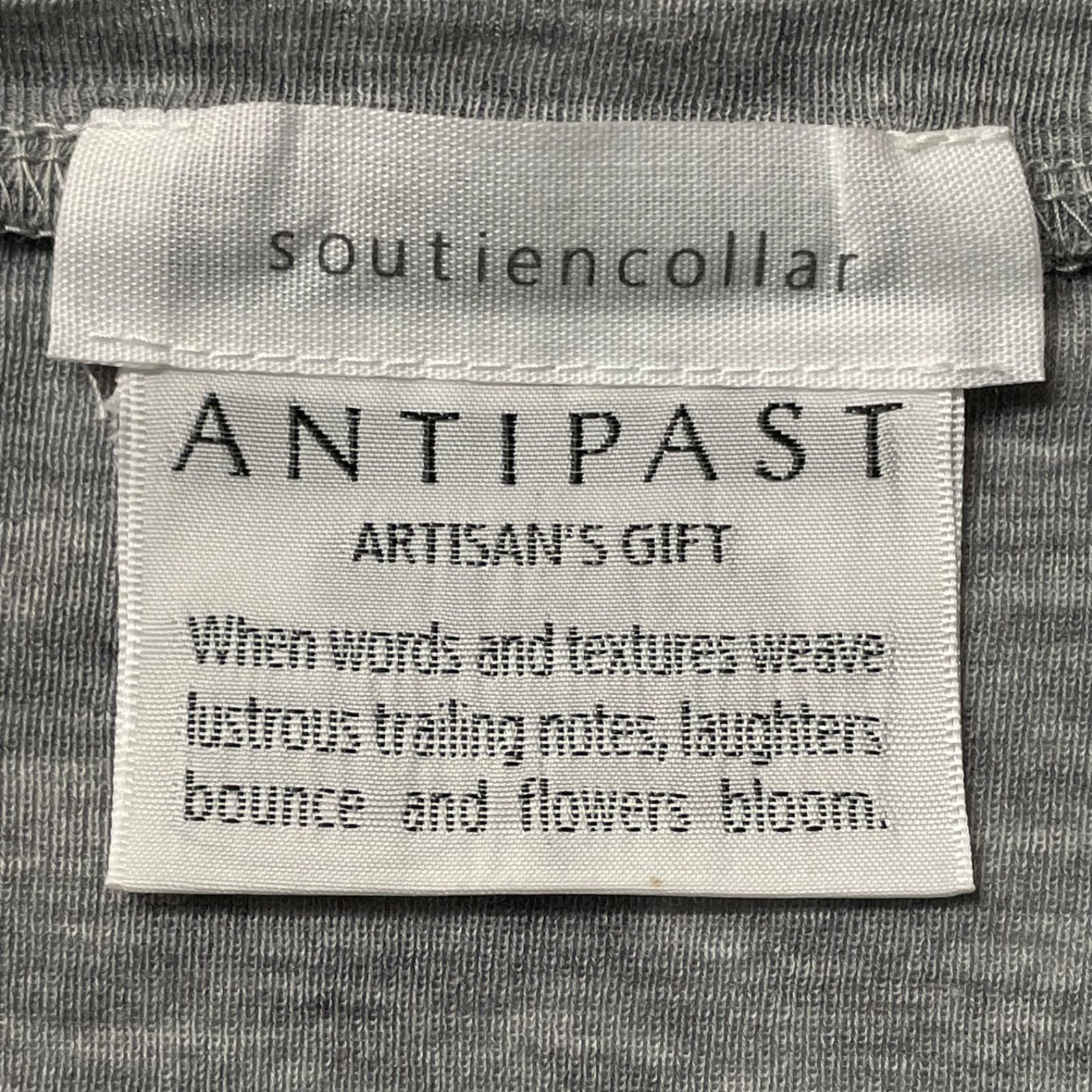 soutiencollar × ANTIPAST アンティパスト Pieta Sleeve ピエタ