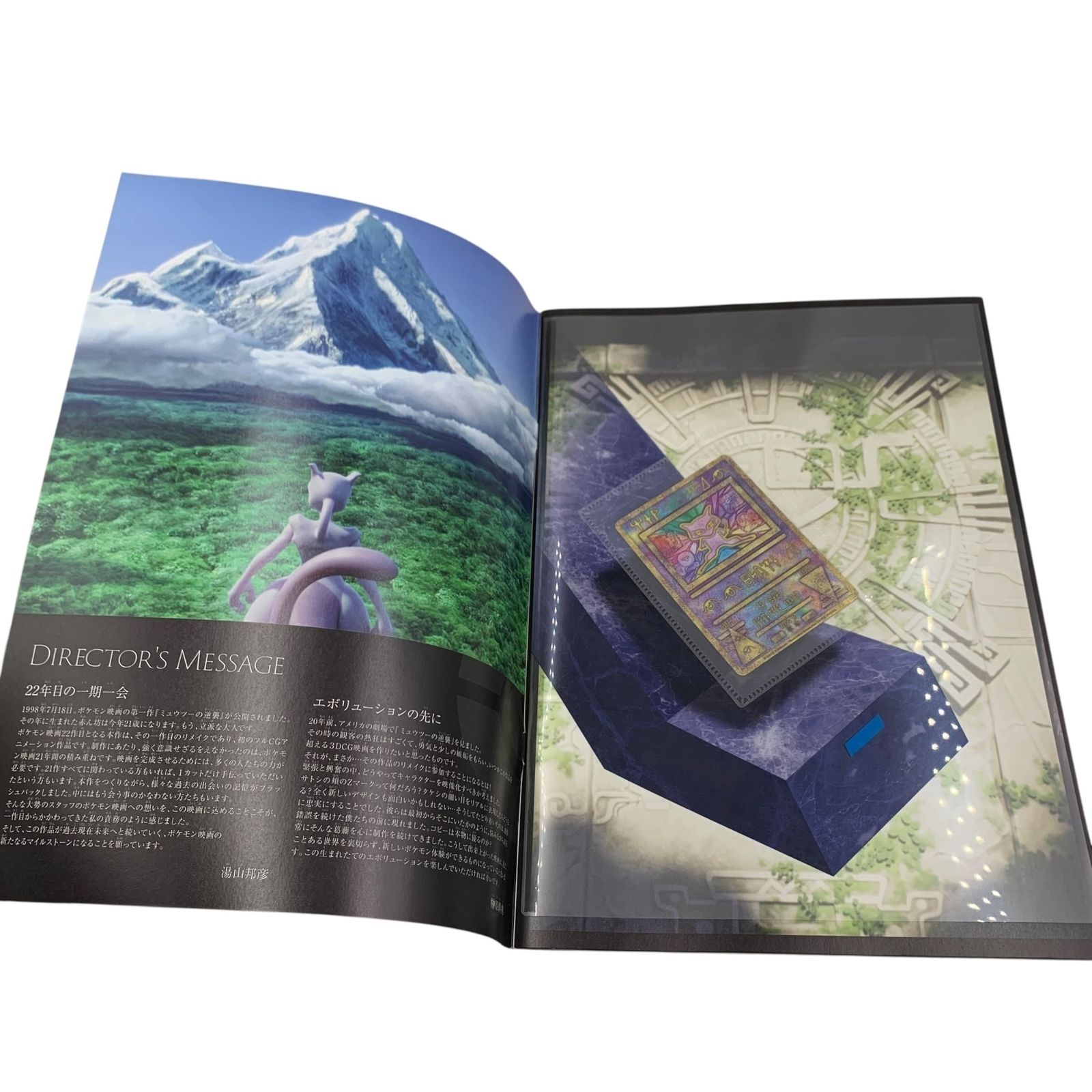 □極美品 ポケモン ミュウツーの逆襲 EVOLUTION パンフレット 特典