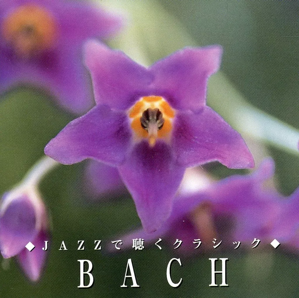 メルカリ セール新品 JAZZで聴くクラシック CD 中古】ジャズCD ジャズで聴くクラシック-バッハ- | Shop at Mercari