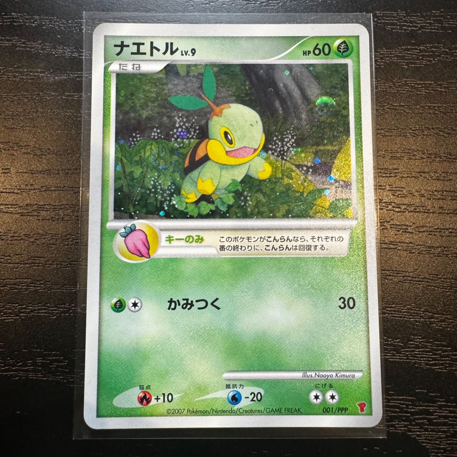 ポケモンカード プレイヤーズ プロモ ナエトル＆ヒコザル＆ポッチャマ