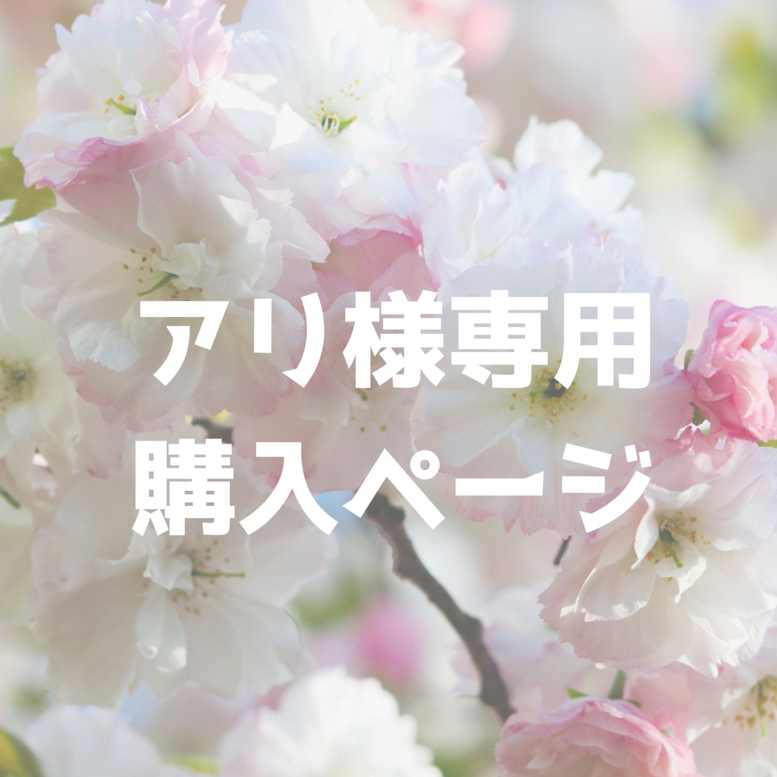 アリ様購入専用ページ - メルカリ アリ様購入専用ページ - メルカリ