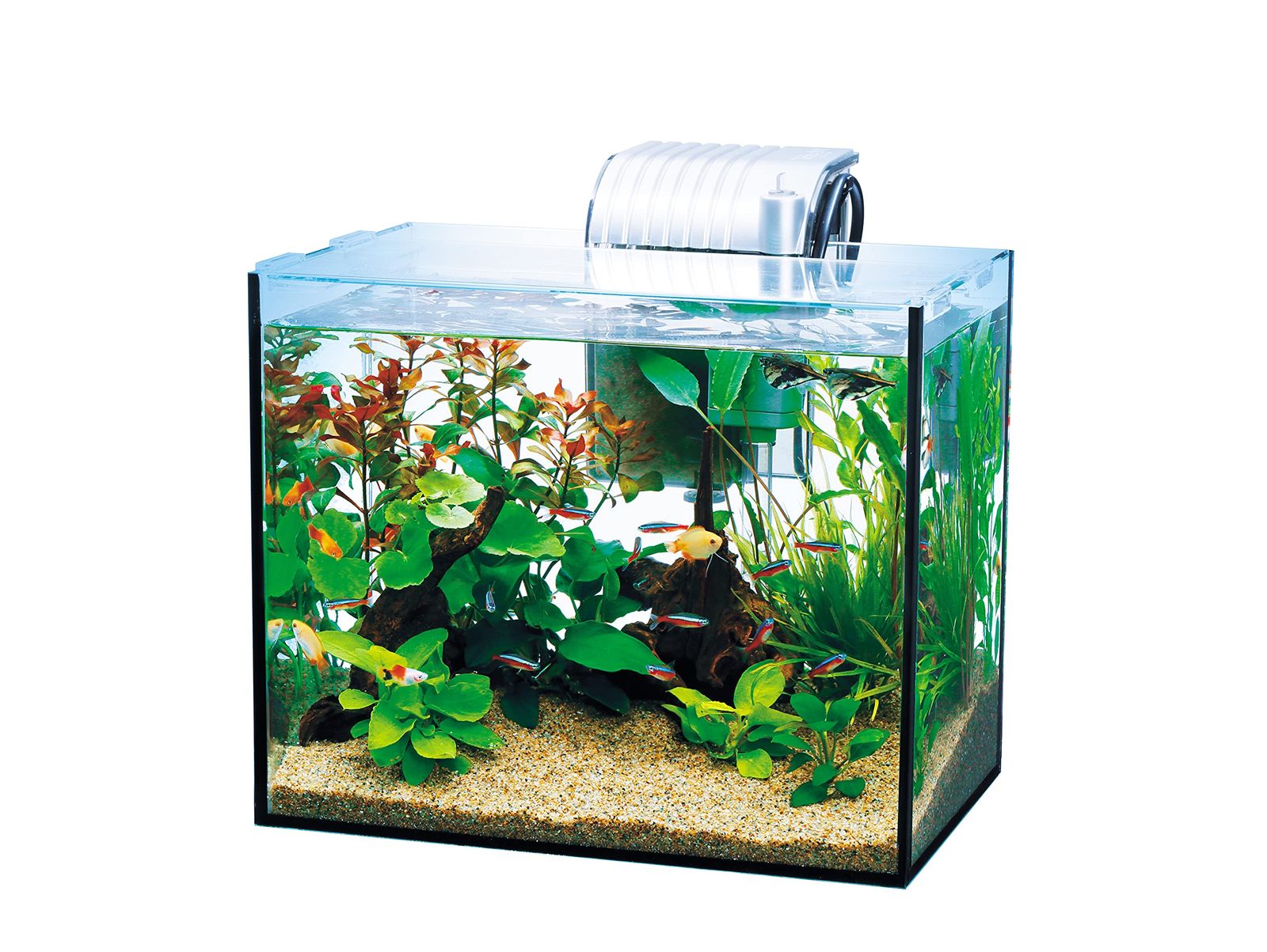 テトラ (Tetra) ガラス 水槽 オールグラスアクアリウム GA-300F 水槽 