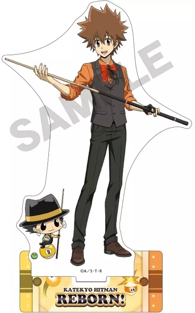 [Used] Acrylic Stand Acrylic Panel Reborn & Sawada Tsunayoshi Acrylic Stand Billiard “Private Teacher Hitman REBORN!”