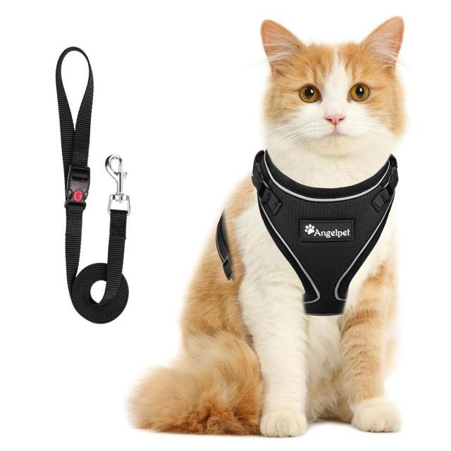 【送料無料】猫 猫用 ハーネス 胴輪 猫具 ねこ ネコ 子猫 子犬 小型犬 散歩 お出かけ 抜けない ベスト ソフト胸あて 軽量 頭を通さずマジックテープで装着